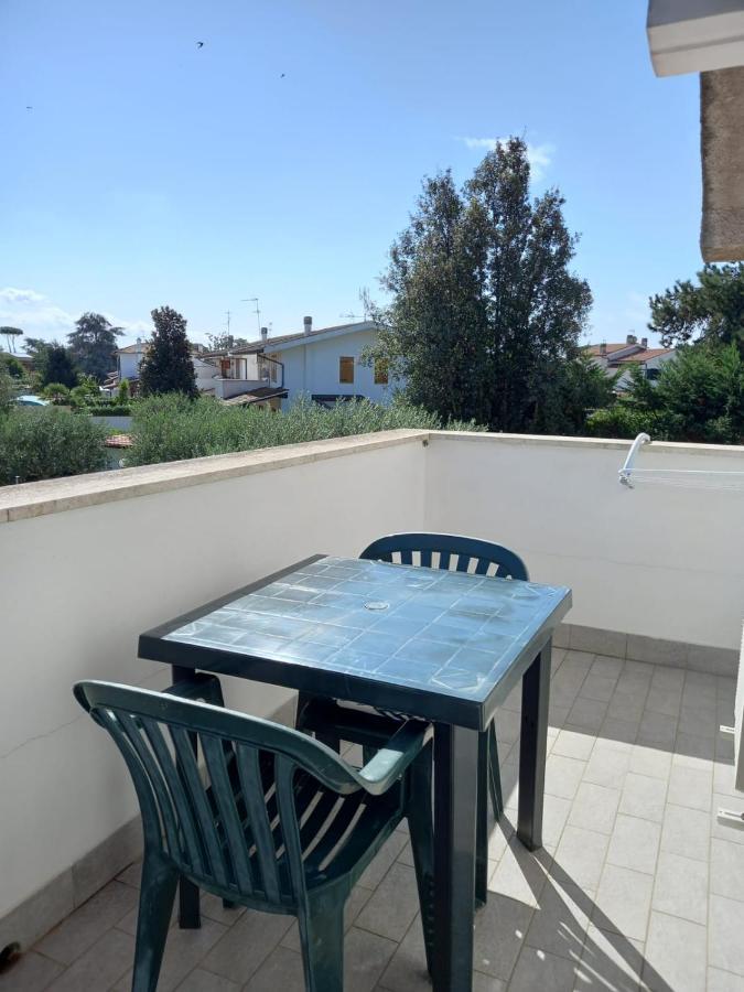 Il Grifo Guest house *