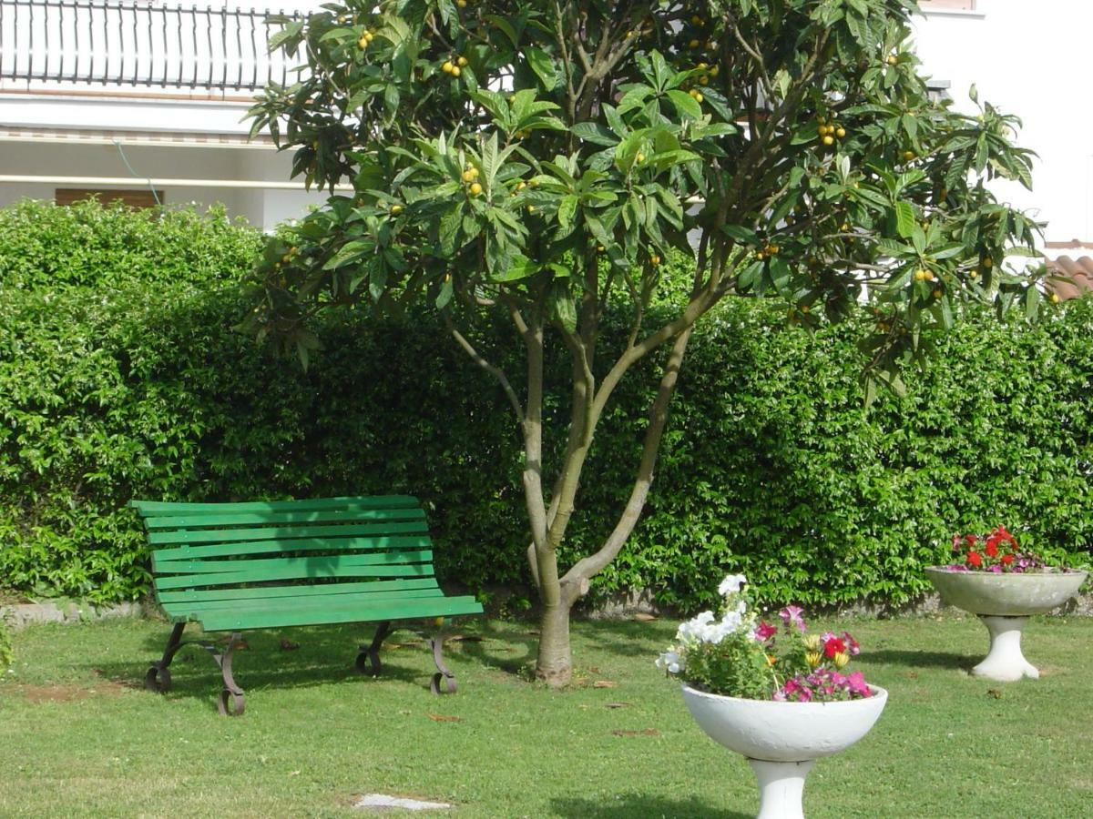 Il Grifo Guest house Sabaudia